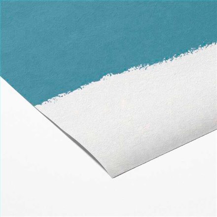 Rollo Papel Pintado MEISTERVLIES Referencia  MV1019.