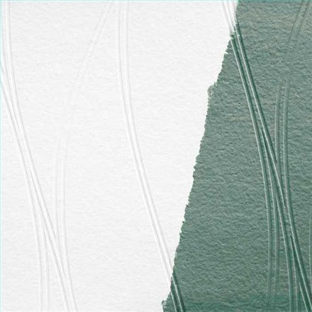 Rollo Papel Pintado MEISTERVLIES Referencia  MV1067.
