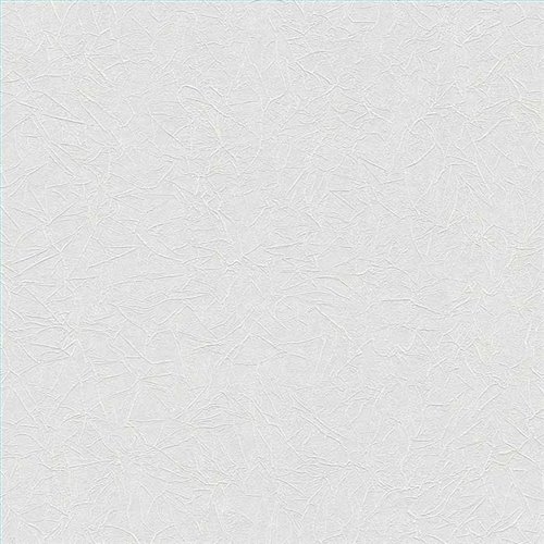Rollo Papel Pintado MEISTERVLIES Referencia  MV1072.