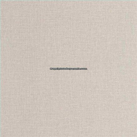 Rollo Papel Pintado JUTE 2 Referencia  JUT104019732.