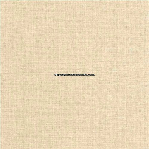 Rollo Papel Pintado JUTE 2 Referencia  JUT104017110.