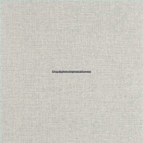 Rollo Papel Pintado JUTE 2 Referencia  JUT104017120.