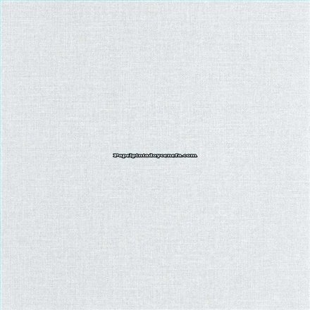 Rollo Papel Pintado JUTE 2 Referencia  JUT104019000.