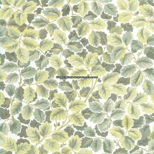 Rollo Papel Pintado HERITAGE CASADECO Referencia  HETA201207244.