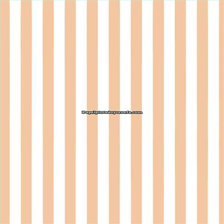 Rollo Papel Pintado HAPPY WALLS Referencia  7040-10.