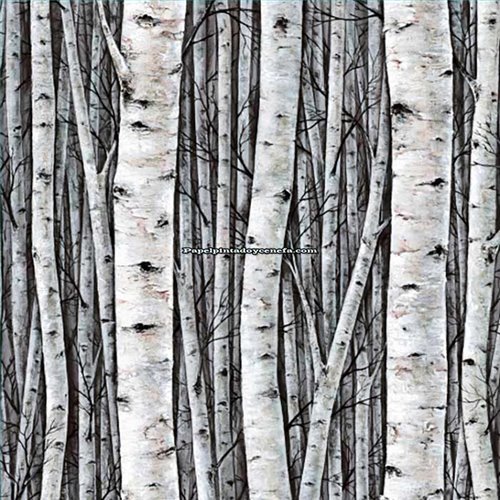 Rollo Papel Pintado PRESTIGE Referencia  PR5397.