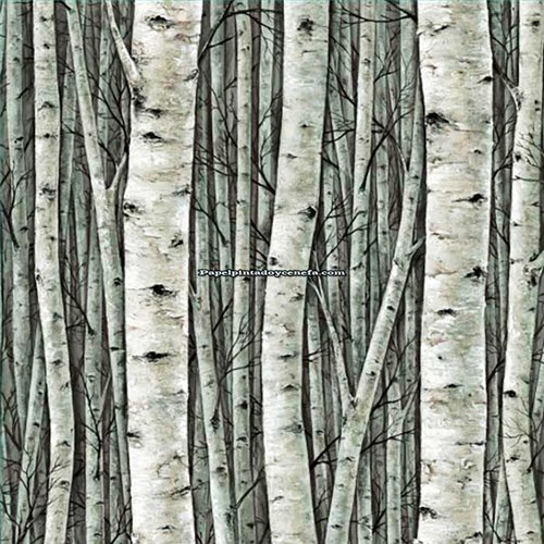 Rollo Papel Pintado PRESTIGE Referencia  PR5380.