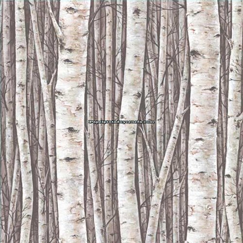 Rollo Papel Pintado PRESTIGE Referencia  PR5394.