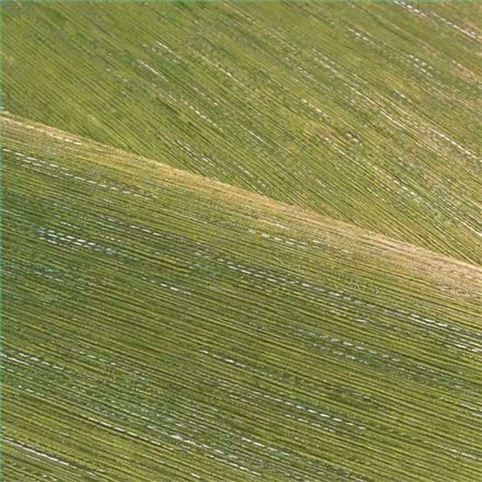 Rollo Papel Pintado LE JACQUARD Referencia  C75346018.