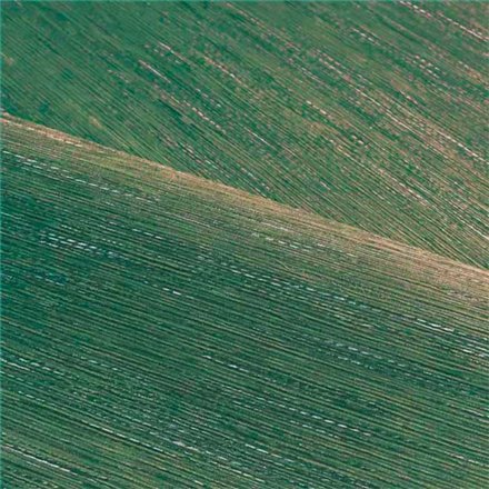 Rollo Papel Pintado LE JACQUARD Referencia  C75346120.