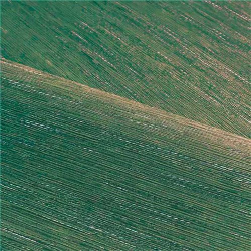 Rollo Papel Pintado LE JACQUARD Referencia  C75346120.