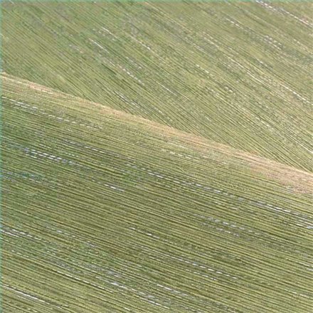 Rollo Papel Pintado LE JACQUARD Referencia  C75345100.
