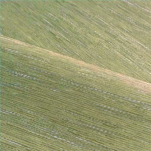 Rollo Papel Pintado LE JACQUARD Referencia  C75345100.
