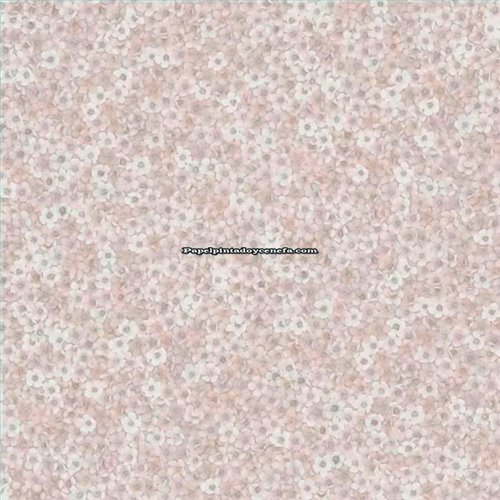 Rollo Papel Pintado ETNIC Referencia  TN5842.
