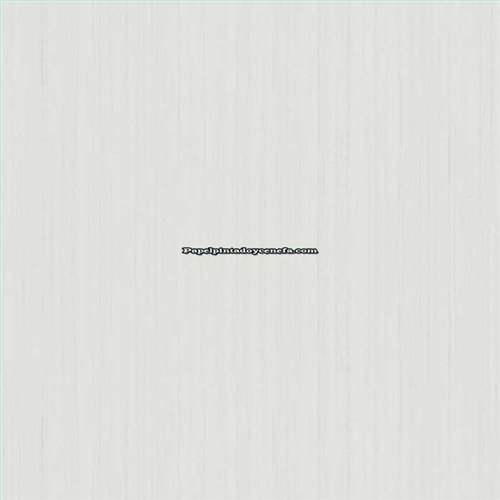 Rollo Papel Pintado ETNIC Referencia  TN5830.