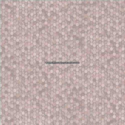 Rollo Papel Pintado ETNIC Referencia  TN5817.