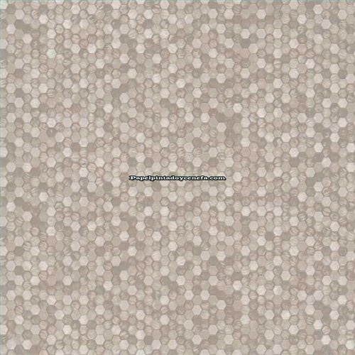Rollo Papel Pintado ETNIC Referencia  TN5816.