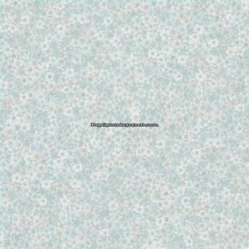 Rollo Papel Pintado ETNIC Referencia  TN5841.