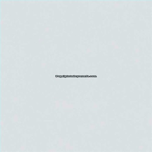 Rollo Papel Pintado ETNIC Referencia  TN5828.