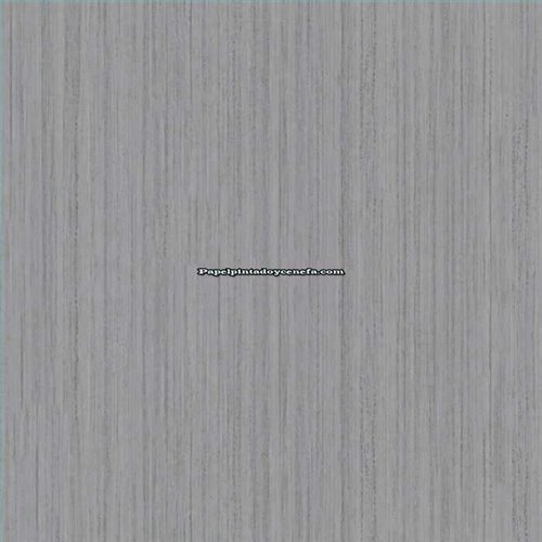 Rollo Papel Pintado ETNIC Referencia  TN5839.