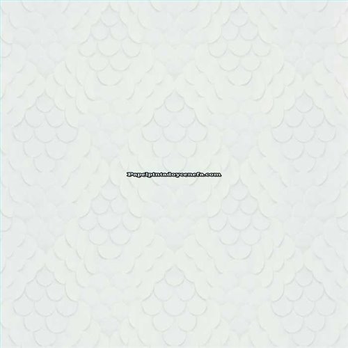 Rollo Papel Pintado ETNIC Referencia  TN5810.