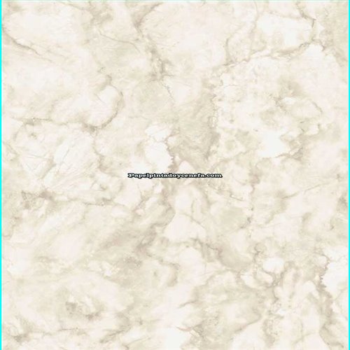 Rollo Papel Pintado AMAZONIA II Referencia  2965.