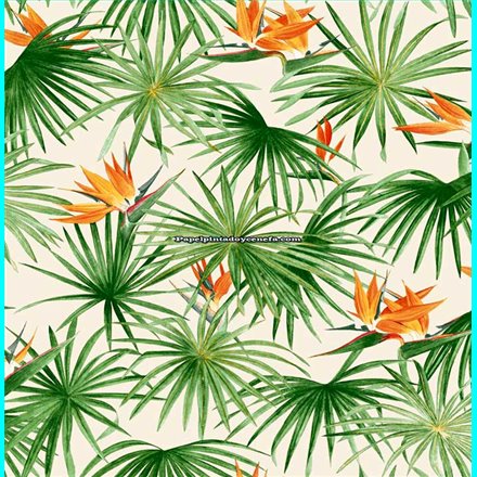 Rollo Papel Pintado AMAZONIA II Referencia  1741.