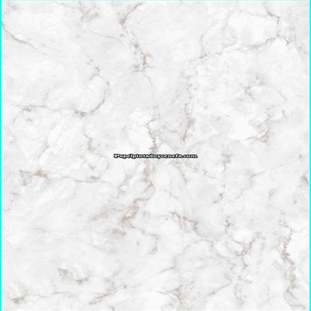 Rollo Papel Pintado AMAZONIA II Referencia  2964.