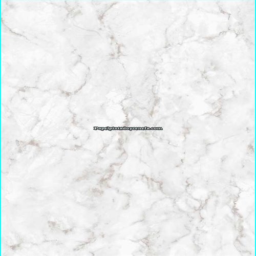 Rollo Papel Pintado AMAZONIA II Referencia  2964.