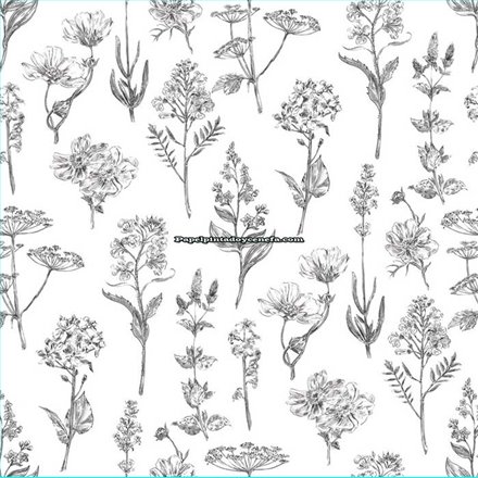Rollo Papel Pintado AMAZONIA II Referencia  2972.