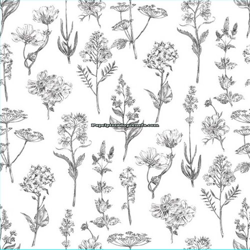 Rollo Papel Pintado AMAZONIA II Referencia  2972.
