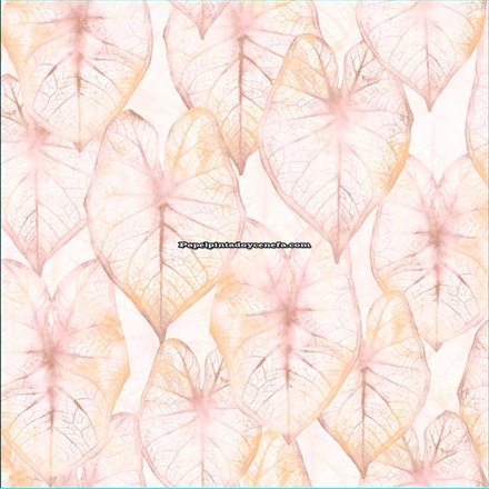 Rollo Papel Pintado AMAZONIA II Referencia  2935.