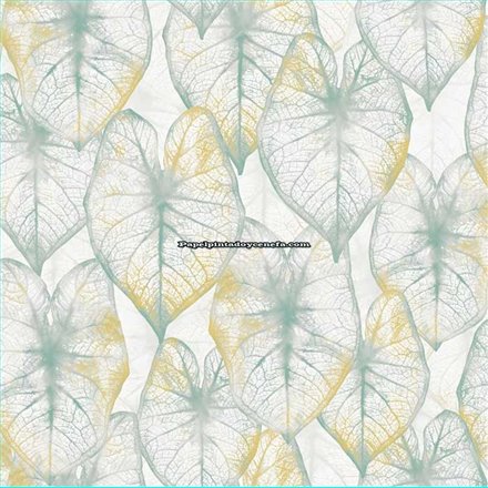 Rollo Papel Pintado AMAZONIA II Referencia  2937.