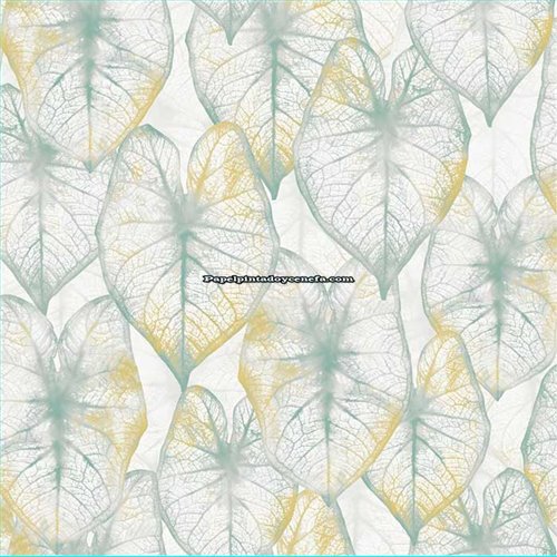 Rollo Papel Pintado AMAZONIA II Referencia  2937.
