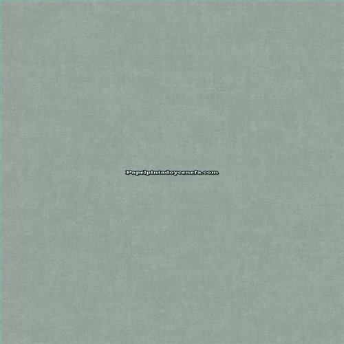 Rollo Papel Pintado LINEN & TEXTURES Referencia  TT10010.