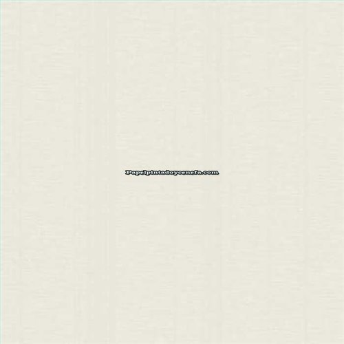 Rollo Papel Pintado SPRING Referencia  SPRI29.