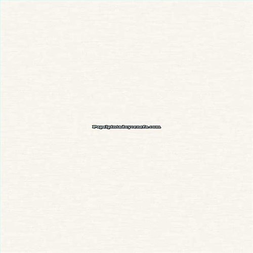 Rollo Papel Pintado SPRING Referencia  SPRI33.