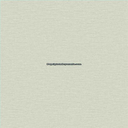 Rollo Papel Pintado SPRING Referencia  SPRI47.