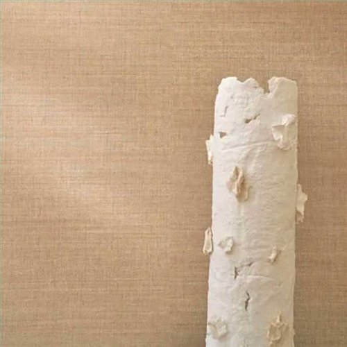 Rollo Papel Pintado LEGENDES Referencia  70172038.