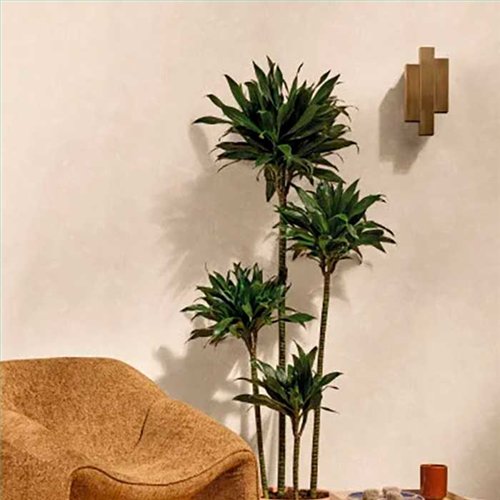 Rollo Papel Pintado SYMPHONY Referencia  SYM107011141.