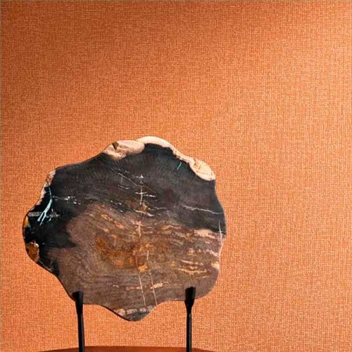 Rollo Papel Pintado SOLARIS Referencia  SOLA201903612.