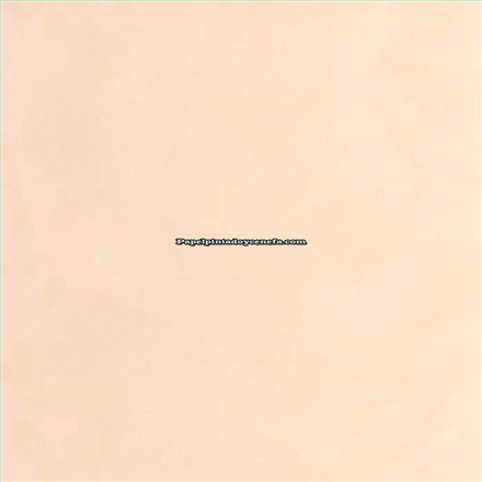 Rollo Papel Pintado CHALK Referencia  CLK106081169.