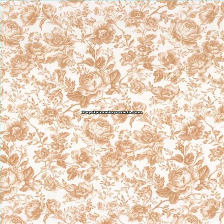 Tela LES BELLES TOILES DE JOUY 2 Referencia  T-BTJD201781397.