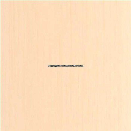 Rollo Papel Pintado WOODLINE Referencia  WOD106801000.
