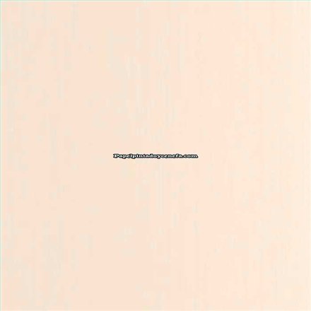 Rollo Papel Pintado WOODLINE Referencia  WOD106800200.