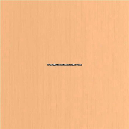 Rollo Papel Pintado WOODLINE Referencia  WOD106801250.