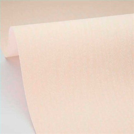 Rollo Papel Pintado WOODLINE Referencia  WOD106810000.