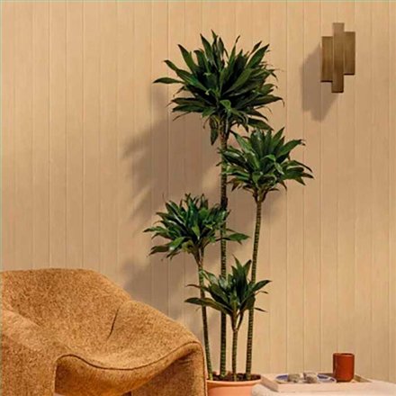 Rollo Papel Pintado WOODLINE Referencia  WOD106851002.