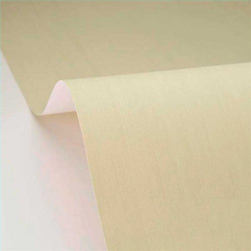 Rollo Papel Pintado WOODLINE Referencia  WOD106807007.