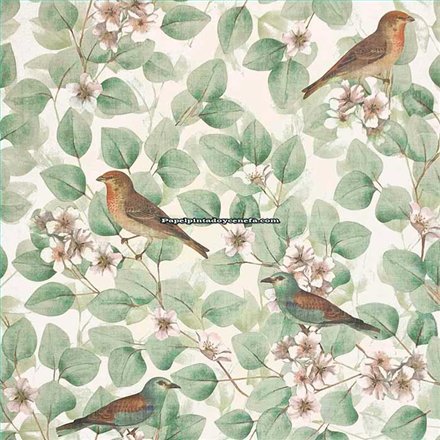 Rollo Papel Pintado SUMATRA Referencia  296402.